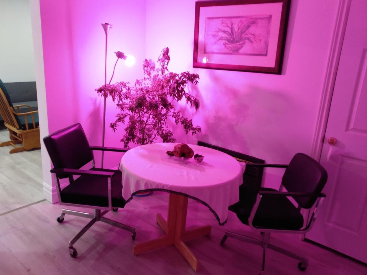 Healing Touch Holistic Living Space Amherst Exteriér fotografie
